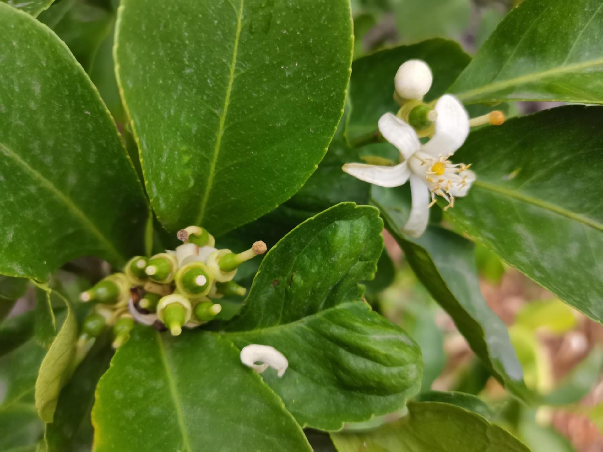 Profumo Di Zagara Acireale 빌라 외부 사진